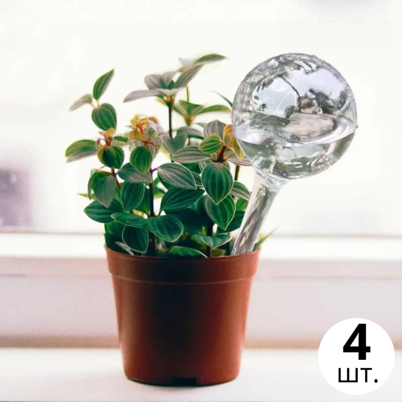 Колба для автоматичного поливу | Вазон у вигляді кулі для саду, 4шт, крапельний полив для рослин, 5×13см прозорий