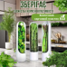Органайзер-контейнер для зберігання зелені Herb Saver, білий